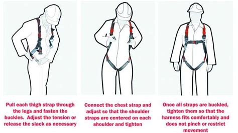 Harness Buddy: Definition and Importance