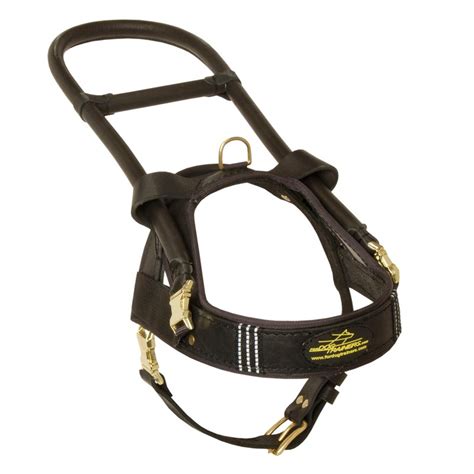 Harness Dog Leather: A Comprehensive Guide to Choosing the Perfect Gear