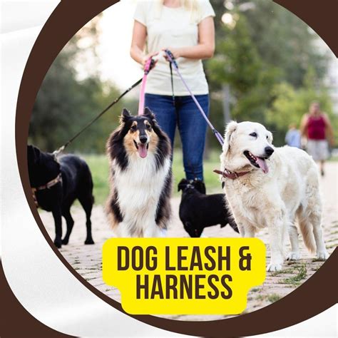 Harness Leashes: The Ultimate Guide for Dog Owners