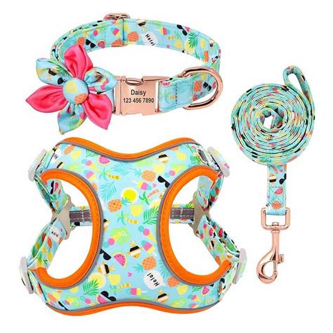 Harness and Collar Set: Transform Your Pet's Style and Control