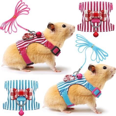 Harness and Leash for Guinea Pigs: A Comprehensive Guide for Safe and Enjoyable Outdoor Adventures