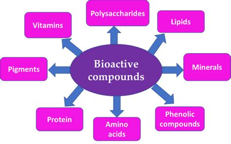 Harness the Power of Bioactive Compounds: