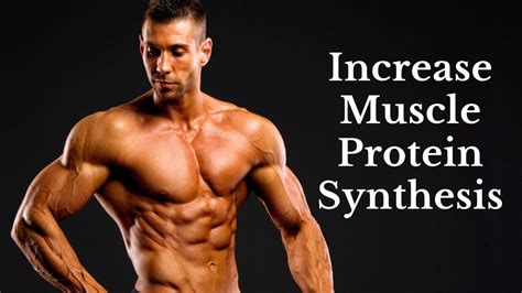 Harnessing BCCAs: A Comprehensive Guide to Boosting Muscle Protein Synthesis