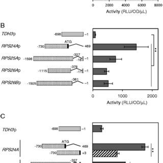 Harnessing the Power of Hanna ELS for Enhanced Protein Expression