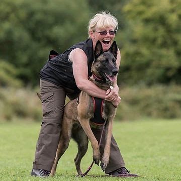 Harnessing the Power of Katalina Wilde's Dog Training Expertise