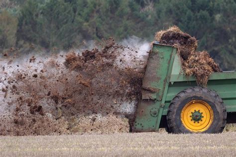 Harnessing the Power of Manure for a Sustainable Future