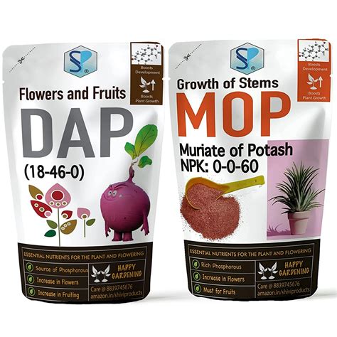 Harnessing the Power of Mop Fertilizer for Exceptional Plant Growth