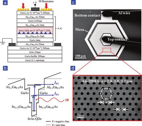 Harnessing the Power of TSOP36236TR: A Comprehensive Exploration for Enhanced Infrared Detection