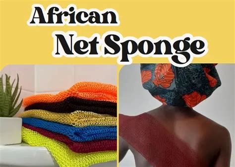 Harnessing the Wonders of the African Net Sponge: A Symbiotic Ecosystem for Marine Health and Human Well-being