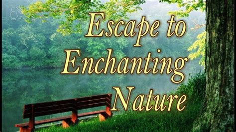 Harper Bros Mountain: An Enchanting Escape Amidst Nature's Wonders