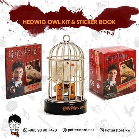 Harry Potter Hedwig Owl Kit and Sticker Book Kindle Editon