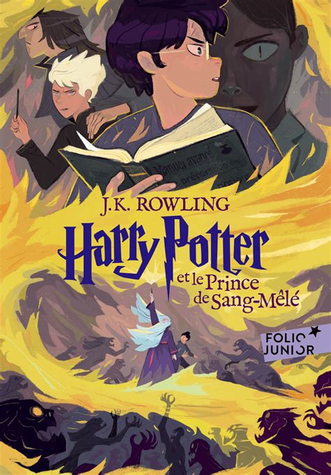 Harry Potter et le Prince de Sang-Mêlé La série de livres Harry Potter t 6 French Edition