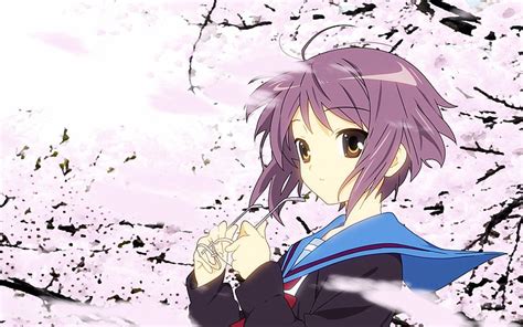 Haruhi Suzumiya: The Purple-Haired Enigma