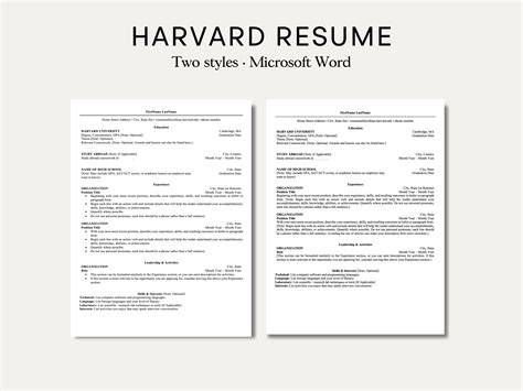 Harvard Resume Template Free Download Word