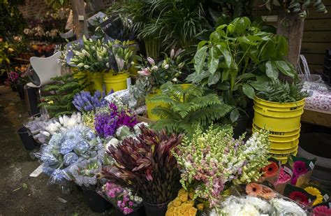 Harvard Square Florist: Enhancing Life with Floral Masterpieces