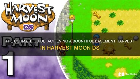 Harvest Moon for DS: A Bountiful Harvest of Charm and Nostalgia