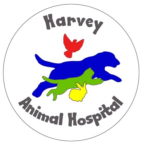 Harvey Animal Hospital Detroit: A Comprehensive Guide