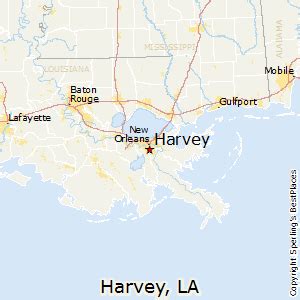 Harvey Harvey LA: