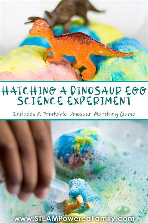 Hatching an Extraordinary Experiment