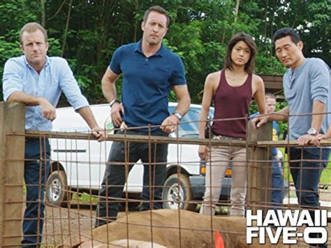 Hawaii Five-0: Episode 9.20 - Divide and Conquer - The Unraveling