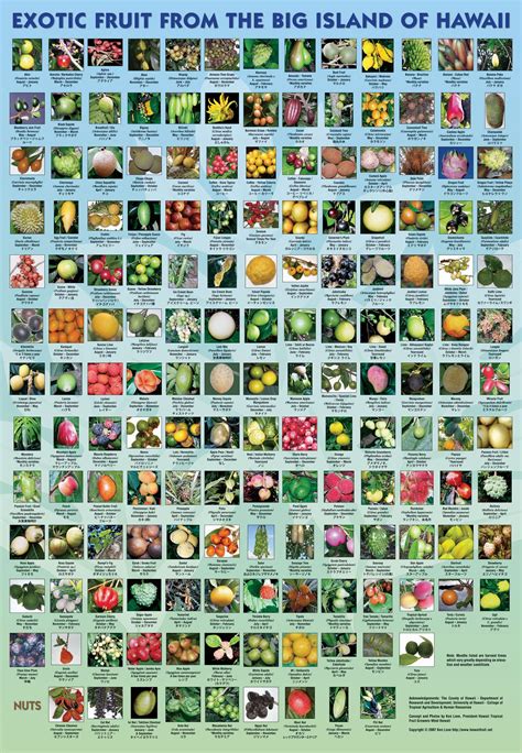 Hawaii Fruit Chart