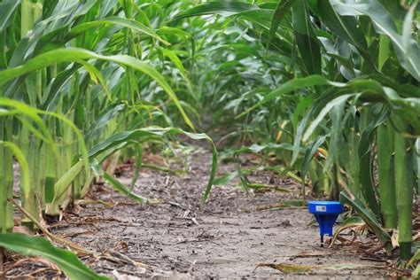 Hay Fertilizer: A Comprehensive Guide to Maximizing Soil Health