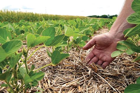 Hay Fertilizer: A Guide to Boosting Soil Health and Crop Yields