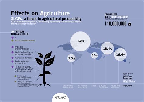 Hay Storage Capacity and Effects on Farm Productivity