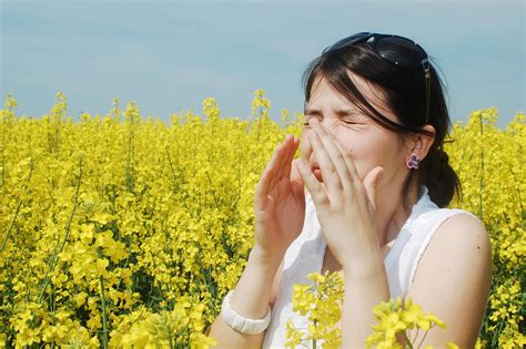 Hay-Fever & Its Successful Treatment Doc