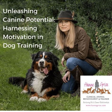 Hazuki Kato's Revolutionary Dog Training Techniques: Unleashing Canine Potential