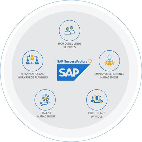 Hcm Solutions From Sap And Successfactors PDF