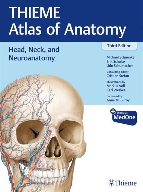 Head and Neuroanatomy THIEME Atlas of Anatomy Kindle Editon
