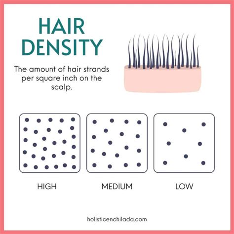 Headful vs Handful Hair: A Comprehensive Guide to Hair Density and Texture