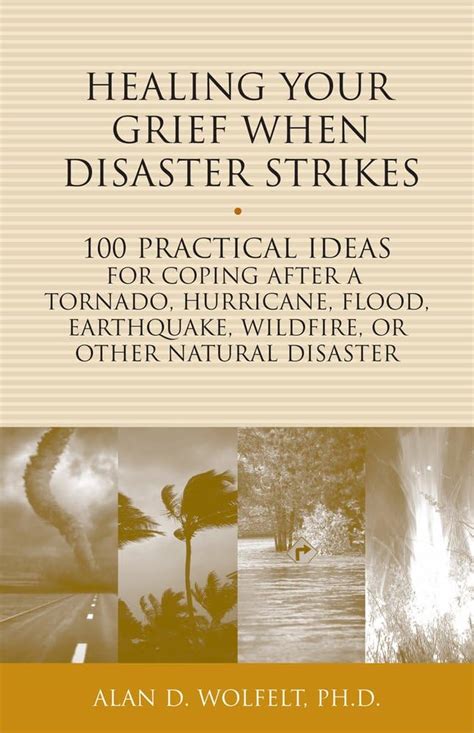 Healing Your Grief When Disaster Strikes 100 Practical Ideas for Coping after a Tornado Doc