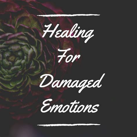 Healing for Damaged Emotions Reader