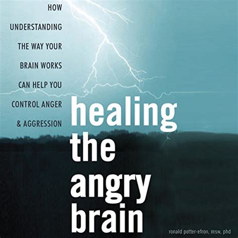 Healing the Angry Brain How Understanding the Way Your Brain Works Can Help You Control Anger and Aggression Kindle Editon