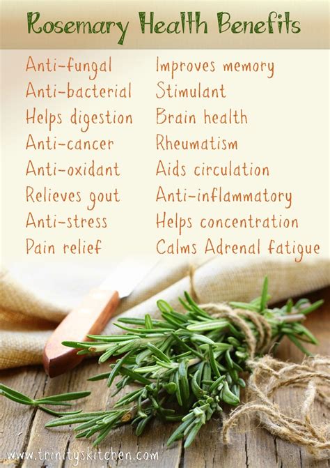 Health Benefits of Rosemary For Cooking and Health Doc