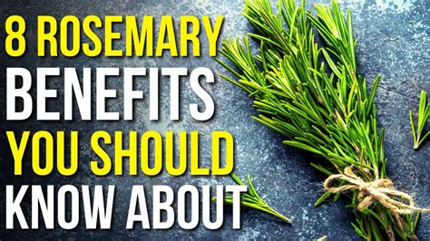 Health Benefits of Rosemary for Cats