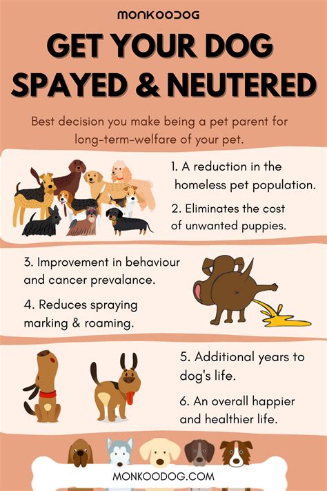 Health Benefits of Spaying Female Dogs: