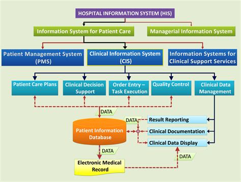 Health Care Information System Kindle Editon