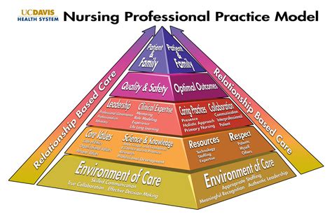 Health Teaching in Nursing Practice A Professional Model Reader