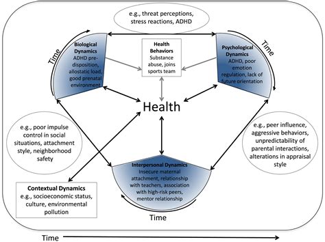 Health and Diseases Dynamics and Dimensions Doc