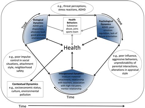 Health and Diseases Dynamics and Dimensions PDF