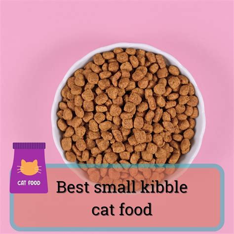 Healthiest Dry Cat Foods: A Comprehensive Guide to Nourishing Your Feline Friend