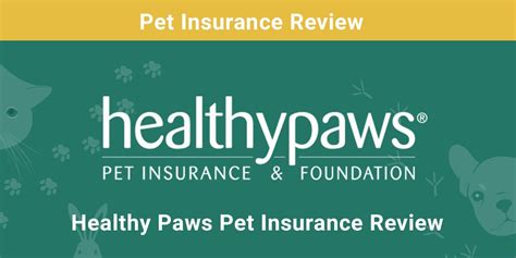 Healthy Paws Insurance Reviews: 5 Things to Know Before You Buy