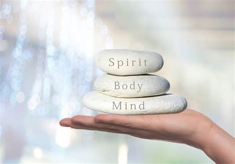 Healthy and Free A Journey to Wellness for Your Body Soul and Spirit Reader