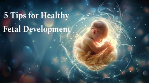 Healthy fetal development: