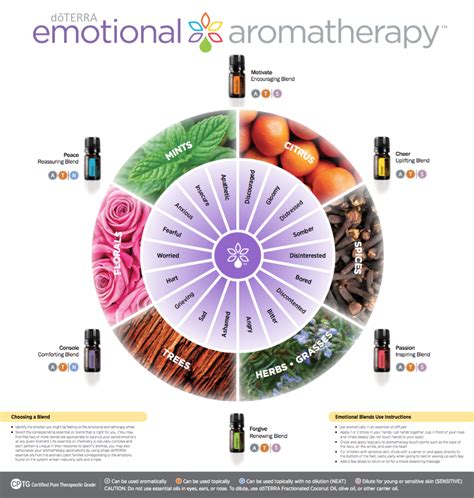 Heart Aromatherapy Easy   Use Essential Reader