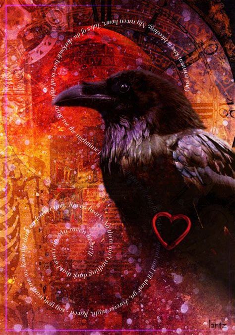 Heart for the Ravens Epub