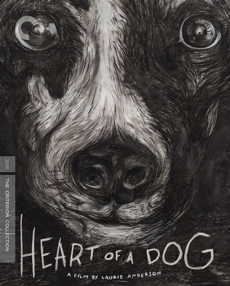 Heart of a Dog Doc